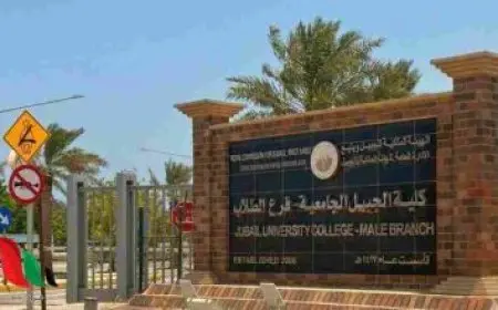 نتيجة تقليل الاغتراب 2024