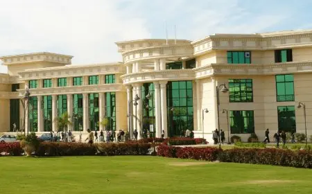 مصاريف msa university