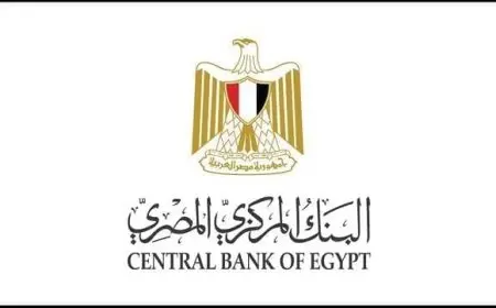 كيف تتقدم بشكوى ضد بنك للبنك المركزي المصري