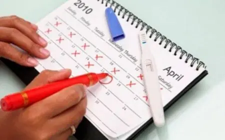 أفضل وقت للجماع والحمل بذكر