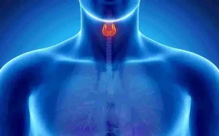 ما هي الغدد الصماء