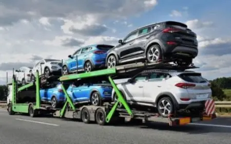 الاستعلام عن وصول سيارة في البسامي الدولية