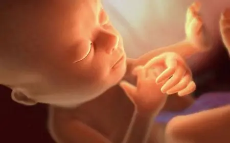 الشهر الثامن من الحمل بالتفصيل