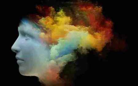 تعريف مجزوءة الوضع البشري