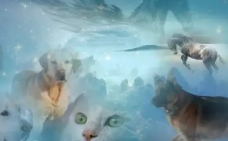 هل موت الحيوان مكتوب