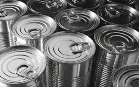 شروط مضيفة الطيران