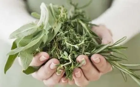 علاج خروج الهواء من المهبل بالاعشاب