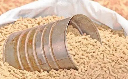 جدول نسبة البروتين في الأعلاف