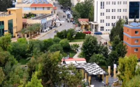 التسجيل في جامعة الملك فيصل