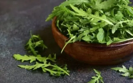 متى يبدأ مفعول الجرجير