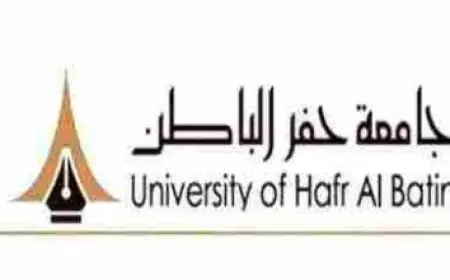 أكثر دولة في العالم إنتاجا للزيتون