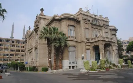 اقسام آداب عين شمس 2024