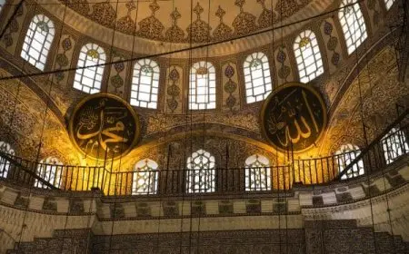 ماهي تخصصات المسار الشرعي