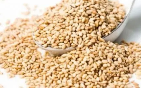 فوائد السمسم الأبيض للجنس