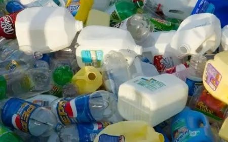 شرح درس خطورة بعض المواد المستعملة في حياتنا اليومية