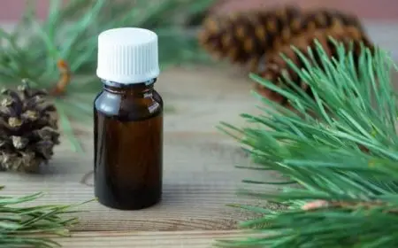 تجربتي مع زيت القطران للشعر