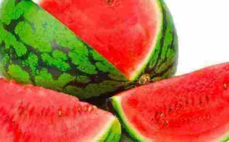 هل حديث الرسول عن البطيخ صحيح