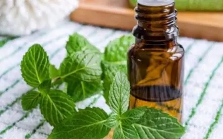 تجربتي مع زيت النعناع للشعر