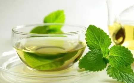 تجربتي مع شرب النعناع يوميا