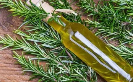 تجربتي مع شرب إكليل الجبل