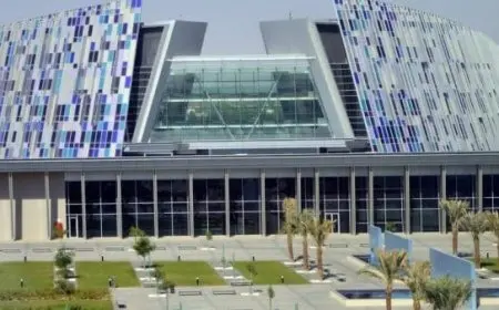 التخصصات في جامعة الإمارات