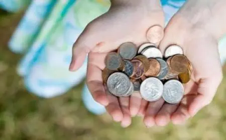 ما هو تخصص إدارة موارد بشرية