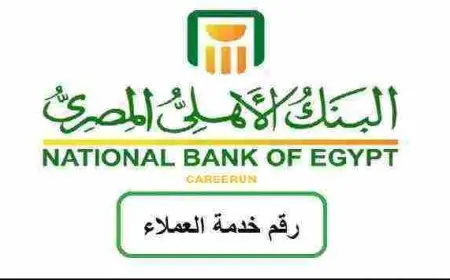 الرقم المجاني للبنك الاهلي المصري 2024