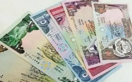 أهم توقعات أسعار الدينار الكويتي أمام الجنيه المصري 2024