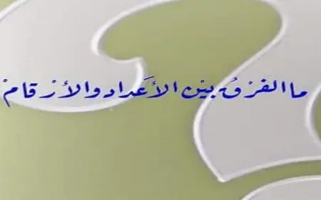 الفرق بين الرقم والعدد في الرياضيات