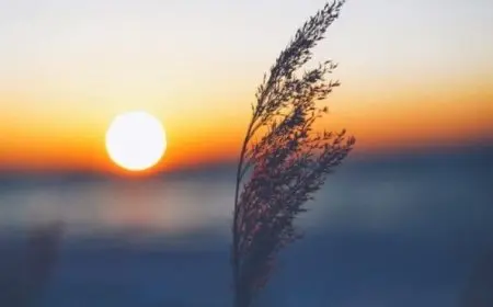 هل يجوز قراءة أذكار الصباح بعد الشروق