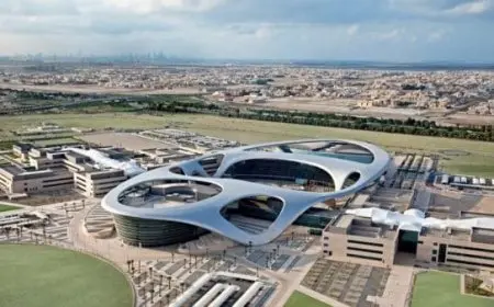 تخصصات جامعة زايد دبي