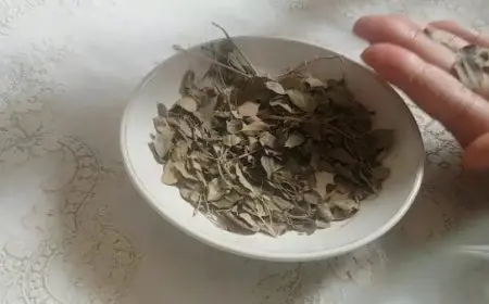 تجربتي مع ورق السدر للزواج