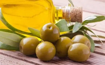 تجربتي مع زيت الزيتون للبواسير