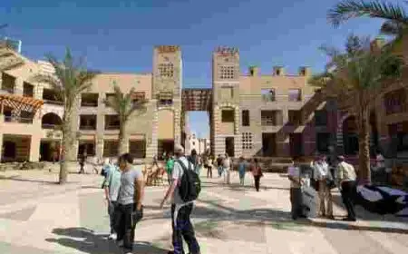 كورسات الجامعة الامريكية في مصر
