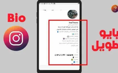 ما هو البايو في الانستقرام