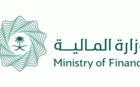 إضافة الأبناء في العوائد السنوية