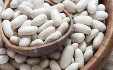 تجربتي مع الفاصوليا البيضاء للتنحيف