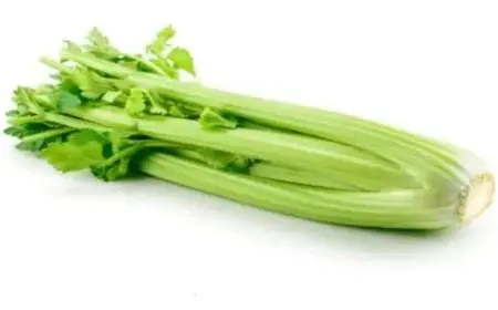 تجربتي مع الكرفس للتنحيف