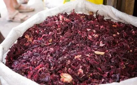 تجربتي مع الكركديه للتخسيس