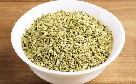 تجربتي مع الشمر لإنقاص الوزن