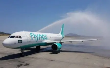 استعلام عن حجز طيران برقم الجواز