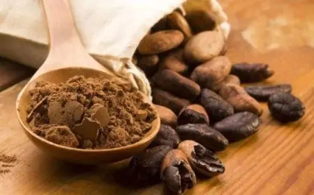 تجربتي مع الكاكاو للتنحيف