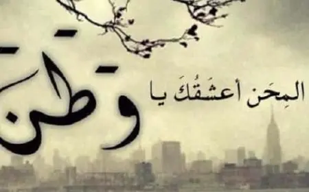 شعر عن حب الوطن للمتنبي