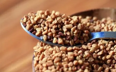 تجربتي مع الحلبة للتنحيف