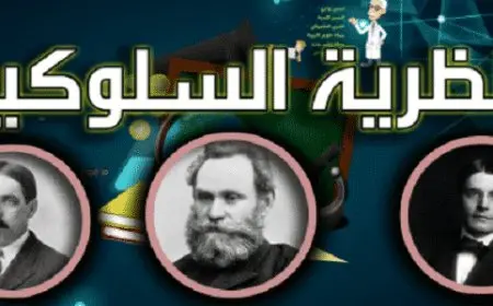 الفرق بين النظرية السلوكية والنظرية المعرفية