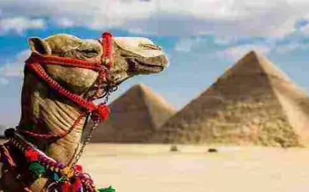 بحث عن أنواع السياحة فى مصر 2024