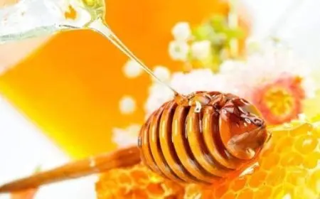 تجربتي مع العسل والماء الدافئ على الريق