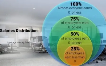 رواتب نظم المعلومات الإدارية في مصر