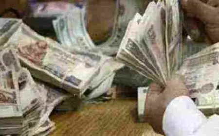 معاشات الضمان الاجتماعي الجديد