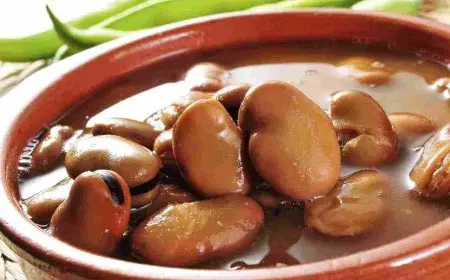 نسبة البروتين في الفول